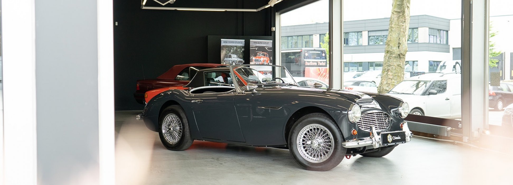 Austin Healey 100/6 BN6  1