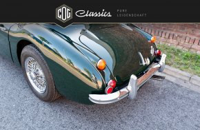 Austin Healey 3000 MK III 14