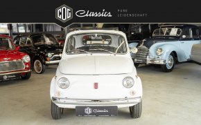 Fiat 500L 22