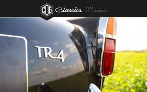 Triumph TR4 37